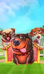 The Dog House